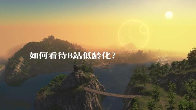 如何看待B站低龄化？